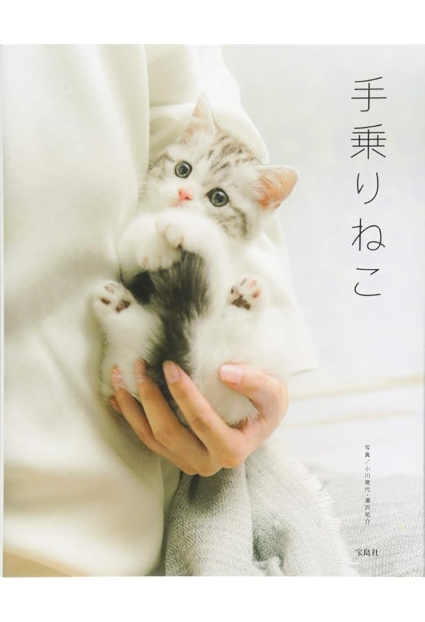 ねこもふ。でらっくす | 石橋 絵 |本 | 通販 | Amazon